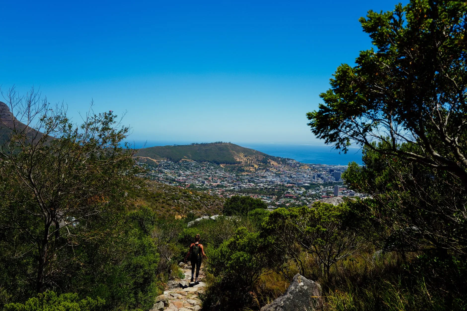 En randonnée : Table Mountain et sentiers côtiers
