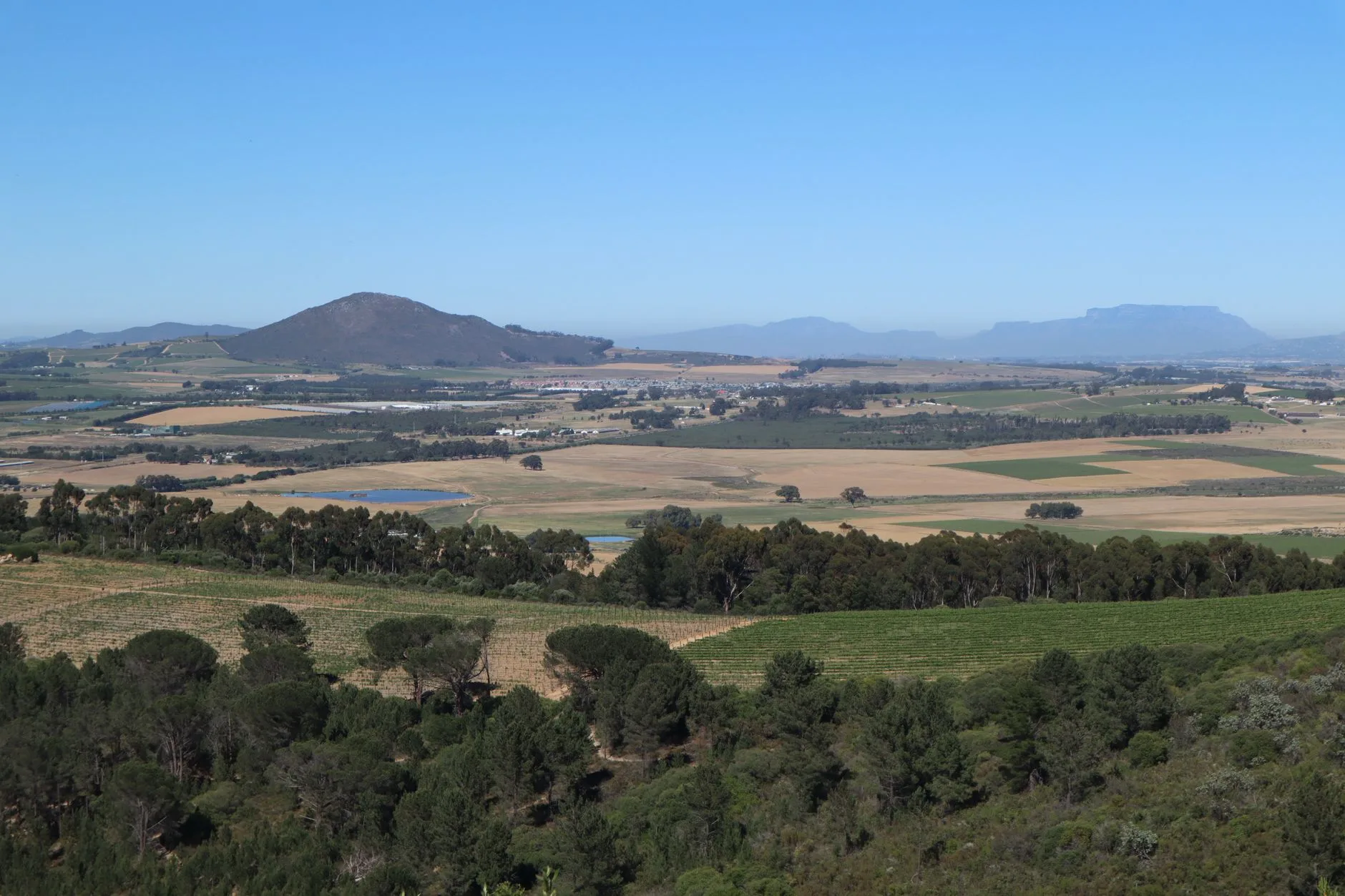 Franschhoek, le coin gourmand des Français