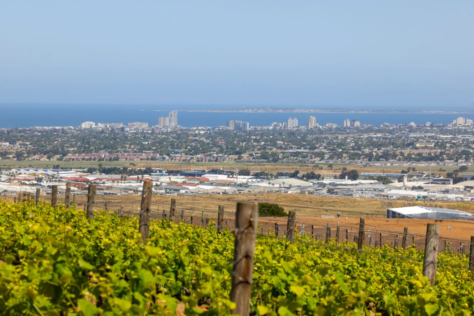 Les Winelands en quelques mots